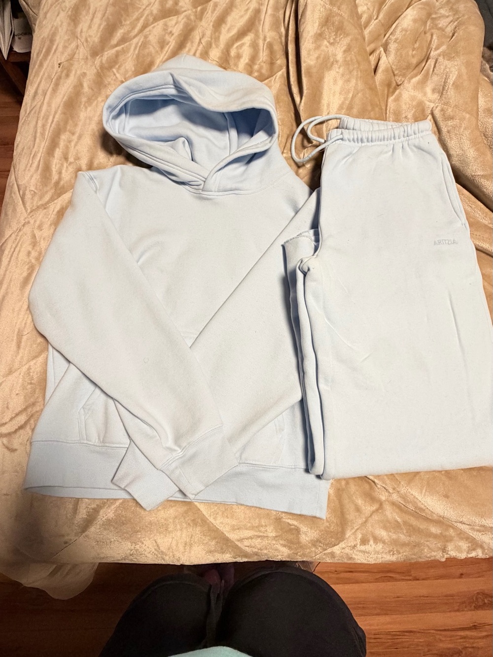 Aritzia Hoodie & Sweatpants Set